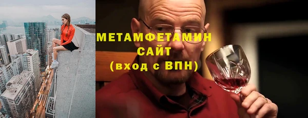 индика Верхний Тагил